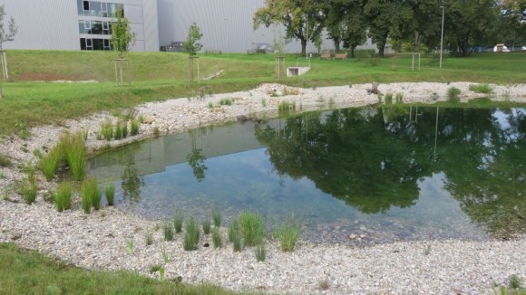 Habitat for Flora and Fauna